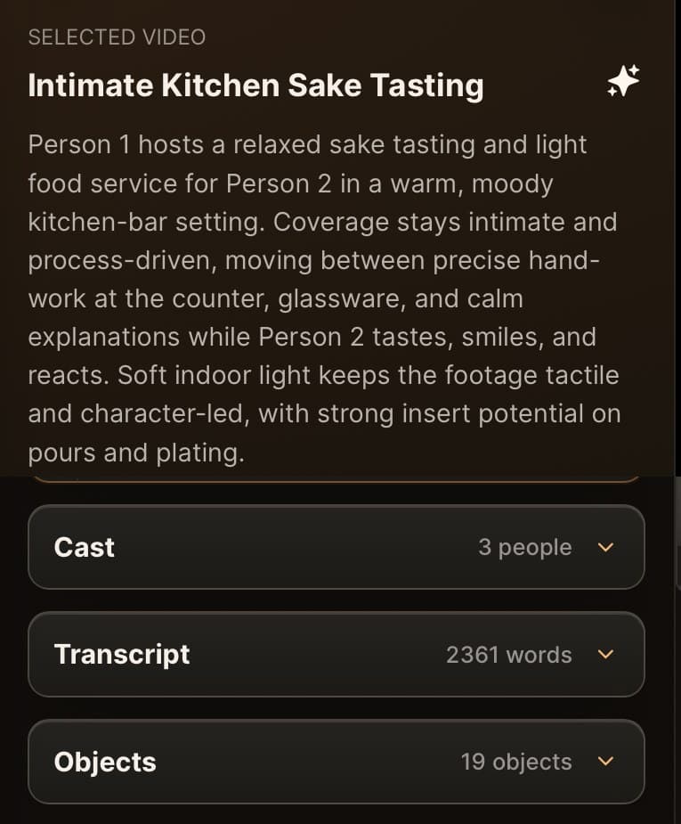 CineLogic clip panel with a written scene summary and counts for cast, transcript words, and detected objects
